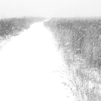 illinois prairie in a snowstorm